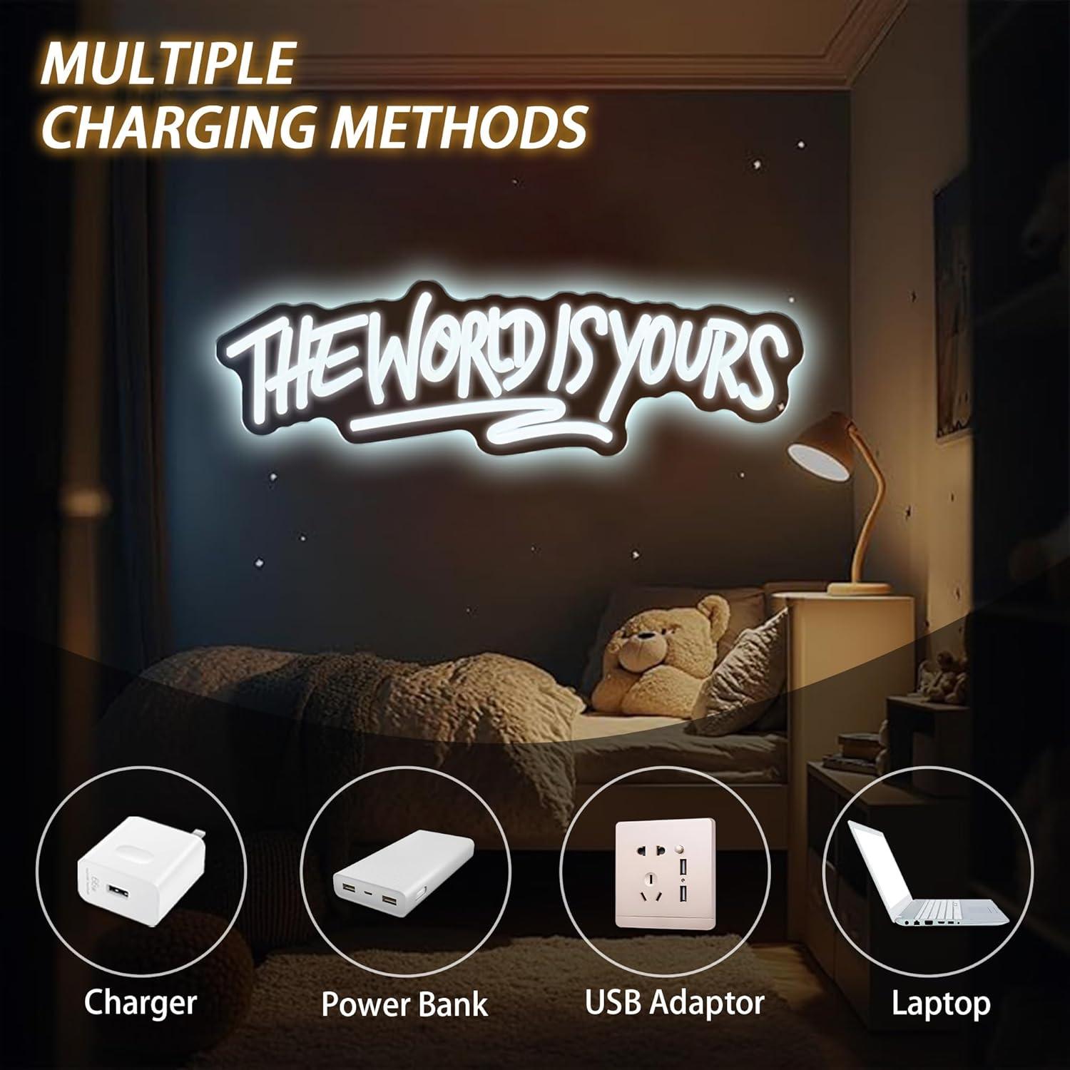 The World is Yours Neon Sign U - Wedding Led 리뷰 및 가격